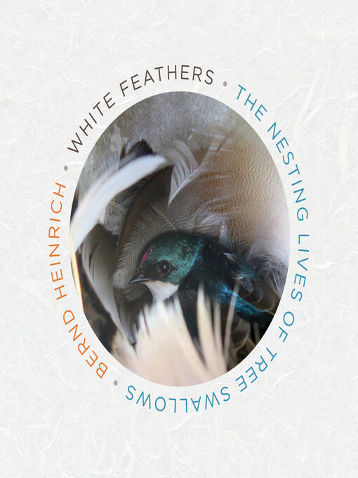 Title details for White Feathers by Bernd Heinrich - Available